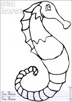 coloriage-hippocampe-1